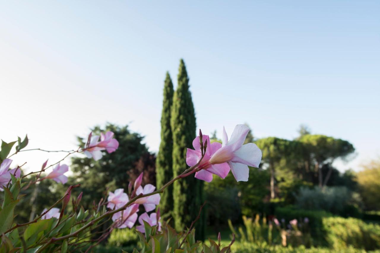 Borgo Villa Risi Siena Exterior foto