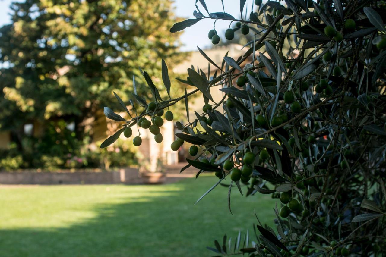 Borgo Villa Risi Siena Exterior foto
